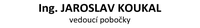 Vzorový odtlačok